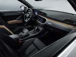 Audi Q3 Advanced 2018 года (WW)